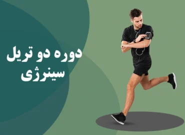 سینرژی لایت پردیسان