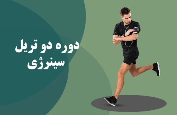 سینرژی لایت پردیسان